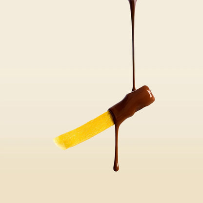 Mango piece coated in dark chocolate with chocolate drip on side